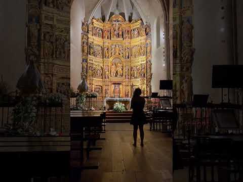 Enjoying the echo... #adventuretime #adventurearoundtheworld #solotravel #agnusdei #church #echo