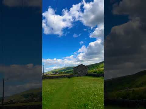 Swaledale meadows #plants #meadowwalker #barn #countryside #outandabout #hiking #naturelovers #short