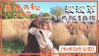 【大阪近郊】萬博紀念公園x波波草｜￼Osaka travel vlog - Kokia in Expo Park コキア🌾