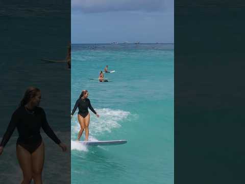 Sophia Culhane throwing some big turns down on the log🔥 #hawaii #waikiki #surf #surfing #drone #fyp