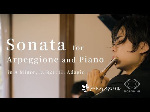 【Flute&Piano】F.Schubert: Sonata for Arpeggione and Piano,2mov /F.シューベルト: アルぺジョーネ ソナタ 第二楽章