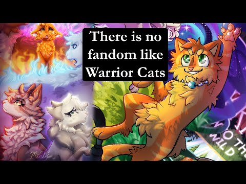 What makes Warrior Cats special?