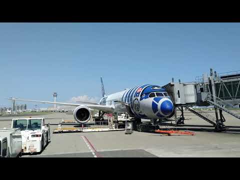 【4K】はとバス羽田空港ベストビュードライブ　第３ターミナル / Hato Bus Haneda Airport Best View Drive Terminal 3