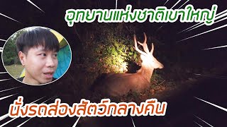 เที่ยวอุทยานแห่งชาติเขาใหญ่ ส่องสัตว์กลางคืน ดูสัตว์ตามธรรมชาติ EP.01