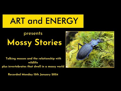 Art and Energy presents Mossy Stories - talking mosses and wildlife that dwells in a mossy world