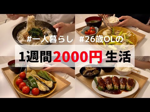 食費1ヶ月1万円の一人暮らし夜ご飯【1週間分紹介】ピーマンの肉詰め🫑夏野菜の焼き浸し🍅素麺レシピetc…