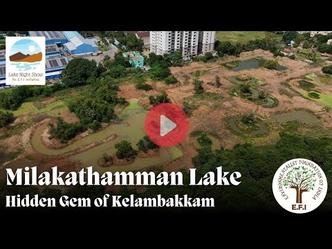 Milakathamman Lake Restoration | EFI's Lake Night Show | Kelambakkam, Chengalpattu