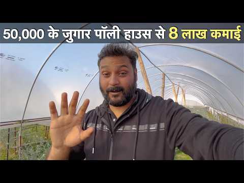 Low investment profitable Flower farming in India | Polyhouse green house agriculture