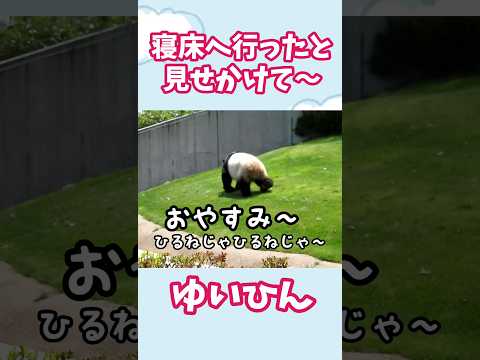 寝床へ行ったと見せかけて～　結浜