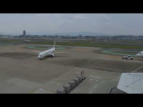 【癒し動画】福岡空港　福岡空港国内線　全日空　日本航空　ANA　JAL