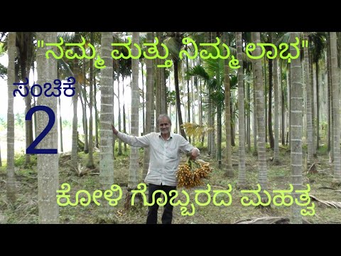 ಅಡಿಕೆ ಮರಕ್ಕೆ ಕೋಳಿ ಗೊಬ್ಬರ ಮಹತ್ವ || ಸಂಚಿಕೆ-02||