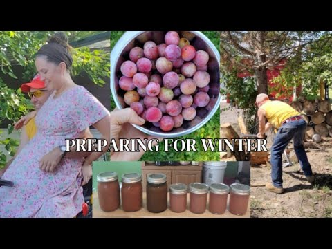 FREE Food, Seeds, & Heat ~ Sustainable Large Family Homesteading