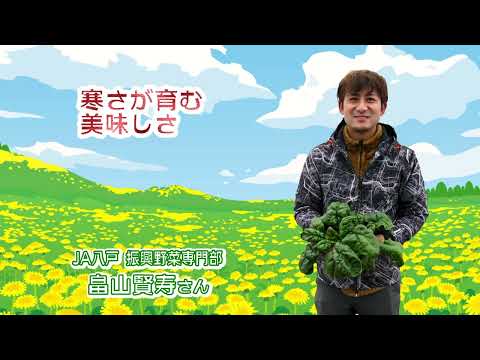 2023年1月13日放送「Fresh Vegetable」旬の青森県産寒締めほうれん草紹介～JA八戸より～