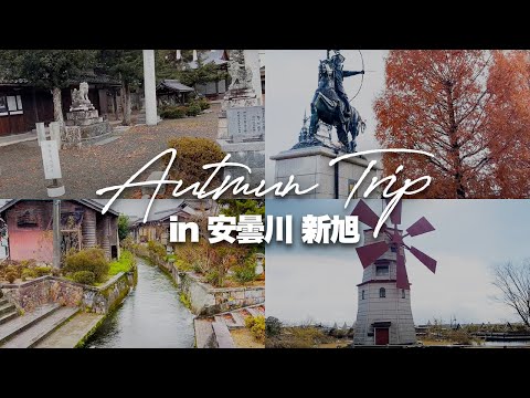 【滋賀県高島市】安曇川・新旭を巡ってきました♪【観光】