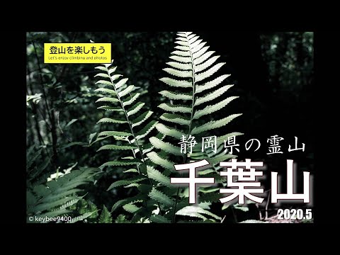 千葉山　静岡県で人気の山に異変が･･･