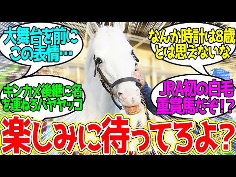 ハヤヤッコくん(8歳) ← 白毛が有馬記念出るのはハヤヤッコが初…に対するみんなの反応！【競馬 の反応集】