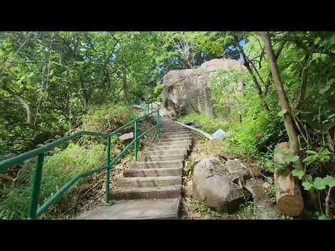 [香港][遠足] 🚶‍♂荃灣元荃古道郊遊徑, Hiking at Yuen Tsuen Ancient Trail