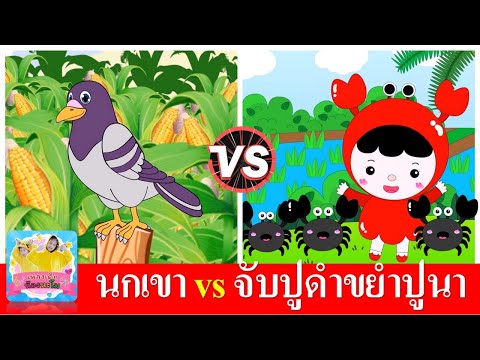 นกเขา vs จับปูดำขยำปูนา