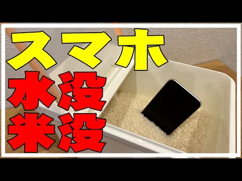 スマホのカメラレンズが曇ってるから米没して放置してみたよ。iPhone水没・水滴・修理