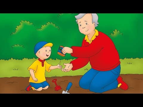 Caillou in the garden - The Reading Corner