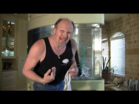 Singing In The Shower Aquarium, LA Fishguys, Episode 93, Part 3