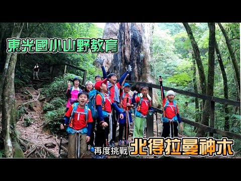 新竹縣關西鎮東光國小 【山野教育-109年再訪北得拉曼神木群】