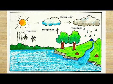 Water Cycle School Project | Water cycle drawing easy | Best project on Water Cycle