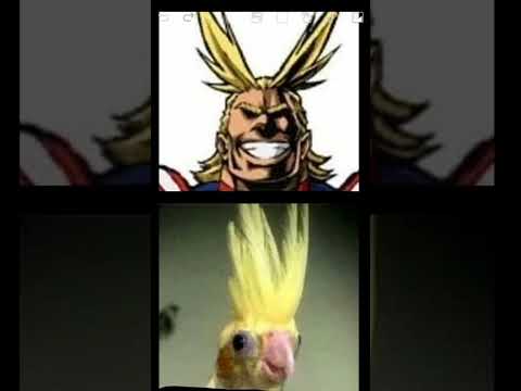 mha memes compil #viral #shorts #mha #memes #myheroacademia #bnha #mhamemes #allmight #karlost