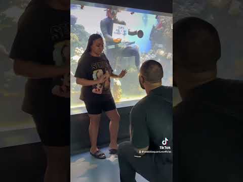 Aquarium Proposal! #aquarium #proposal #engagement #cute #waikiki