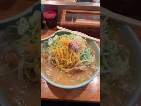 (大把蔥花與麵條) ramen 味噌拉麵 －Kira ito 喜来登(喜來登拉麵)－02