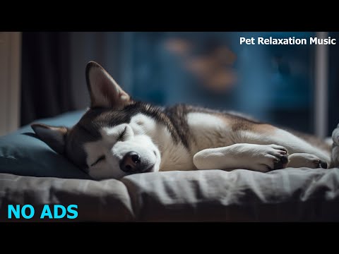 Relaxing Music To Calm Pets 🐶💛🐶 MUSIC THERAPY For Dogs Calm and Deep Sleep