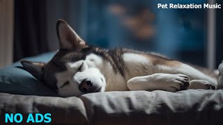 Relaxing Music To Calm Pets 🐶💛🐶 MUSIC THERAPY For Dogs Calm and Deep Sleep