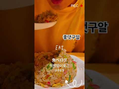 みんなはどれが食べたい🤤？뭐가 제일 먹고싶어? モッパン日記 먹방브이로그 2023🍜🍕🍦#도쿄여행 #도쿄맛집