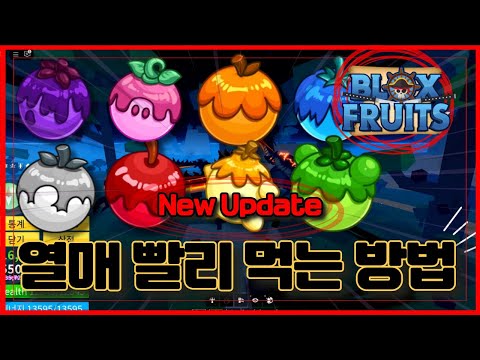 New 코드[로블록스] 🔥베리(열매) 효율적으로 빠르게 먹는 방법!!🔥용 색깔 무료로 사자!!  블록스플룻 BloxFruits