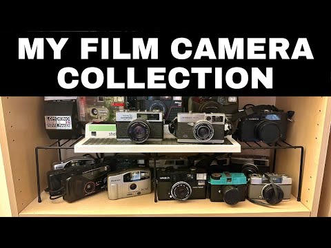 Vintage Camera Collection: Second Shelf