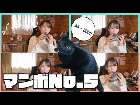 【オカリナ四重奏】マンボＮｏ.5/ペレス・プラード(黒猫コラボ🐈‍⬛)チャオチャオオカリーナ【Ocarina Ensemble】