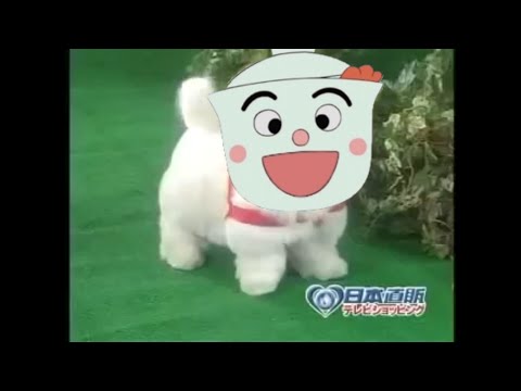 愛犬ロボ｢てんどんまん｣