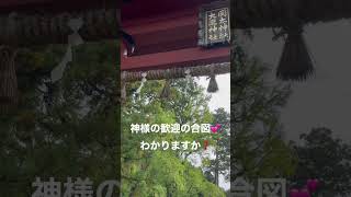 【本日の幸運の戸開き】は岡太神社、大瀧神社です。皆さんの幸せな日々をいつも応援しています^ ^#岡太神社　#大瀧神社　#神様の合図 #幸運の9ちゃんねる