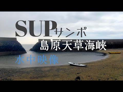 SUPサンポ島原天草海峡 水中映像