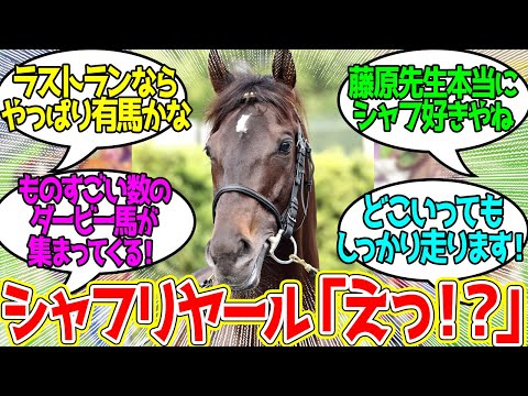 藤原調教師「もう１走、どこかで走らせたい」に対するみんなの反応！【競馬 の反応集】