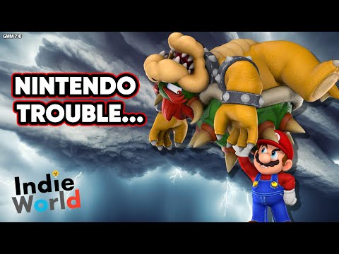 Is All of This Nintendo's Fault...or Fans Fault??