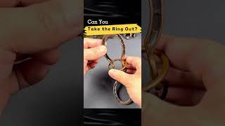 Unlocking the Mystery: How to Solve the Horseshoe Lock Puzzle? #BrainTeaser #puzzlesolving