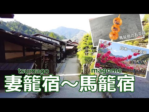 【岐阜旅行vlog】妻籠宿or馬籠宿どちらがお好み？春の木曽路を満喫しました♪花桃の里｜妻籠宿｜馬籠宿