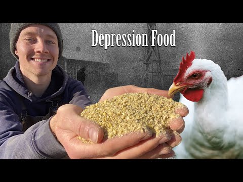 You Can Feed Chickens & Pigs in a Depression