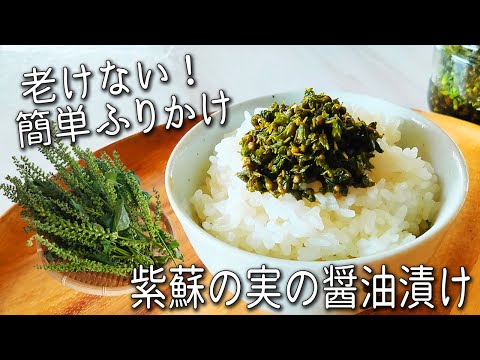 【紫蘇の実の醤油漬け】し その実 の爽やかな香りでご飯が最高！長期保存できる 簡単 健康 ふりかけ しそ の 実 の 漬物