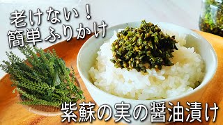 【紫蘇の実の醤油漬け】し その実 の爽やかな香りでご飯が最高！長期保存できる 簡単 健康 ふりかけ しそ の 実 の 漬物