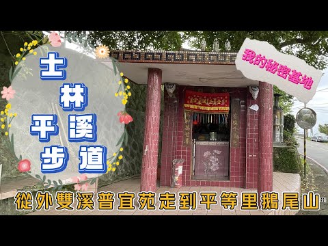 台北士林平溪步道到鵝尾山I 溪山里平等里之間 I 從外雙溪普宜苑走到平等里福德祠旁秘密基地 I 走訪鵝尾山水稻梯田看稻浪棧橋