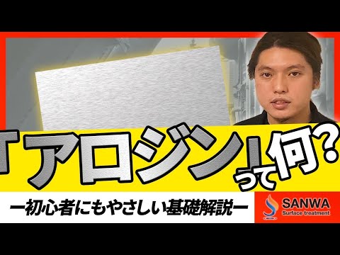 【アロジンって何？】気になる疑問を解説！！