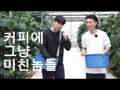 커피가 없는 한국에서 커피체리를 수확하다(1부) - 커피 예능다큐 컨텐츠의 시작