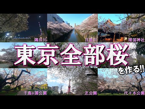 【満開】東京の桜の名所を巡って「東京全部桜」を作りたい!!（桜狩り編）【All Cherry blossoms in Tokyo】